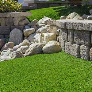 Rebates for Removing Your Lawn