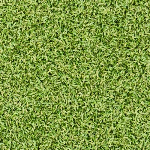 Del Rio Putting Green Artificial Turf Grass