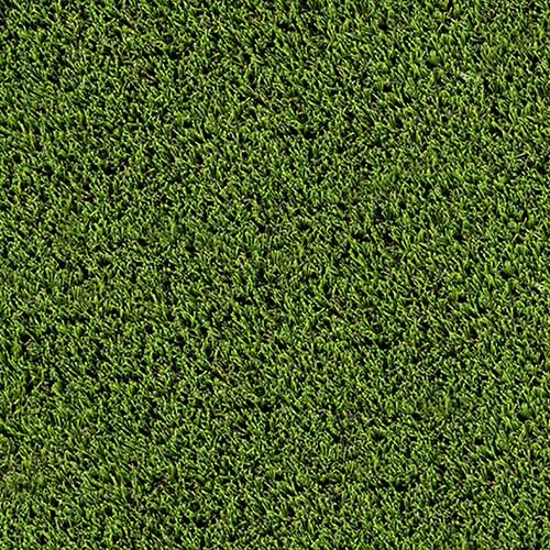 Steele Canyon Artificial Turf Grass