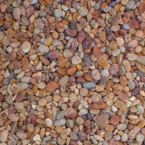 Jelly Bean Medium Rock Ground Cover