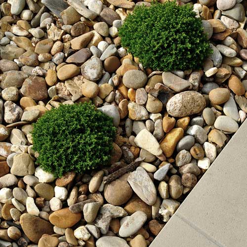 Landscaping Rocks Decorative, What Size Gravel For Landscaping