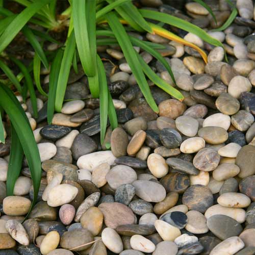 Landscaping Rocks Polished Pebble