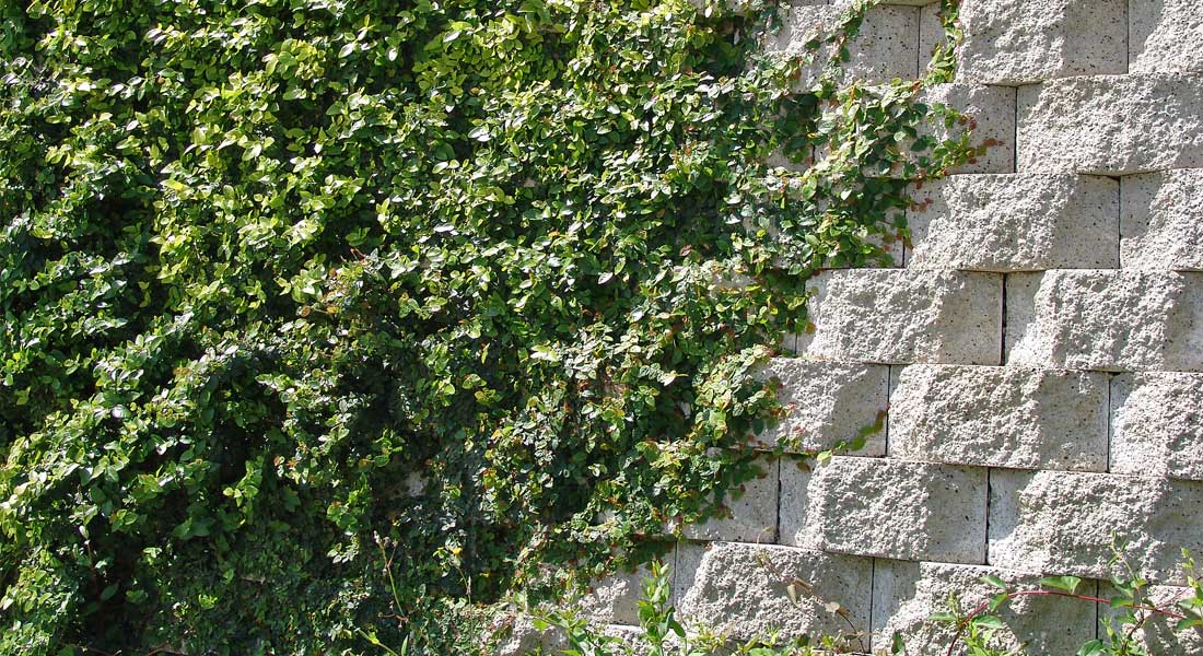 Keystone Retaining Wall Blocks Plantable Unit Wall